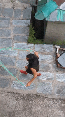 Morning activities captured in Haini: ukulele, jump rope, neighborhood scenes