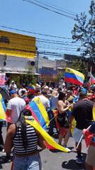 Venezuelan flag demonstration draws hundreds in Santiago, Chile
