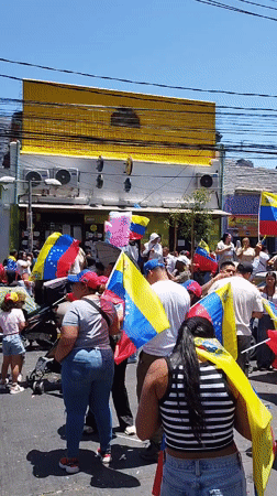 Venezuelan flag demonstration draws hundreds in Santiago, Chile