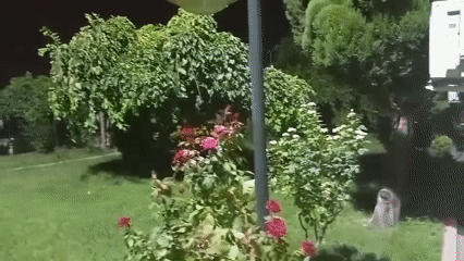 Evening in an Onikişubat park — roses, storm clouds, and streetlights