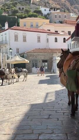 The video shows a plaza scene in Greece. The plaza is paved with stone, and several horses and donkeys are standing in the plaza with saddles on their backs. Some of the animals have saddlebags attached to the sides. The plaza is bordered by buildings that are white with orange tile roofs. In the background is a tree-covered hill. Two women are walking away from the camera across the plaza. A man walks past the horse that is closest to the camera. Some umbrellas are folded and leaning against poles in the background.