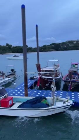 This media file shows a scenic view of a harbor in Pa Khlok, Thailand, at dusk. The sky is overcast with a deep blue hue, suggesting either early morning or late evening. Several boats are docked at a blue, modular floating pier. In the foreground, a small white boat with a blue tarp covering its interior is tied to the pier. Behind it, a line of traditional Thai longtail boats, characterized by their long wooden hulls and distinctive steering mechanisms, are moored. One of these boats has a pink canopy. Further in the background, larger boats, possibly tour boats, are visible. The surrounding landscape features lush green hills with scattered buildings, indicating a coastal town or resort area. The overall mood is tranquil and serene, with the calm water reflecting the subdued light. There is no visible activity of people engaged in any specific task, implying the boats are either at rest or awaiting passengers. Some boats have flags attached, and decorative ribbons are tied to the sterns of a few. The water is a deep blue-green, with gentle ripples indicating a light breeze.