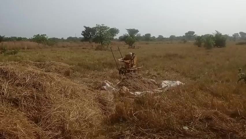 The video shows a field with dry, brown grass. A large pile of hay sits in the foreground. Further into the field, there is a machine with handles, appearing to be a thresher, surrounded by what appear to be filled sacks. The sky is overcast and the trees are sparse. The scene suggests agricultural work related to harvesting grain.