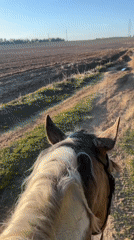 Horseback riders traverse rural path near Ol'khovskoye, Russia