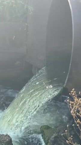 A large pipe is discharging water into a rocky stream. The water is greenish and frothy, indicating it may be polluted. Rocks covered in moss are visible in the stream bed. Dry, brown vegetation is growing on the right bank of the stream. The scene appears to be outdoors, possibly in a rural or natural setting. The lighting suggests it is daytime, with sunlight filtering through the scene.