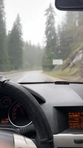 The video shows a first-person perspective from inside a car driving on a winding asphalt road through a dense forest. Rain is falling, visible as droplets on the windshield, and the car's wipers are actively clearing the view.

The interior of the car is visible, featuring a black steering wheel with a textured cover, a dashboard, and instrument clusters. The speedometer is visible to the left, showing a red needle around the 20-30 mark, with numbers "300" and "369326" displayed below. To the right, an infotainment screen displays "FM0 RADIO 1", "Range", "0. Consumption", "Inst. consumpt.", and "6.0" (likely temperature in Celsius, given the "A" nearby which might indicate outside temperature). Other small text like "REG", "CDIN", "AS", "MP3" is also present on the screen. A person's hand is seen briefly at the 0:03 mark, holding the steering wheel.

Outside the car, the road appears wet and slick. Tall coniferous trees line both sides of the road, creating a verdant but overcast environment. In the distance, the headlights of another vehicle are briefly visible as it approaches. A faint road sign is partially discernible on the right side of the road, with text that appears to include "Progled", consistent with the provided location context of Progled, Bulgaria. The sky is grey and overcast, typical of rainy weather.
