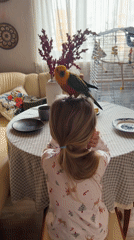 Pet parrot plays with pajama-clad girl in Khimki home