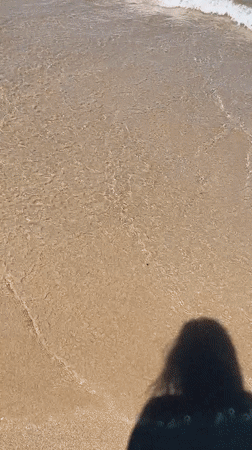 Crowded summer day on Primorsko's Black Sea beach