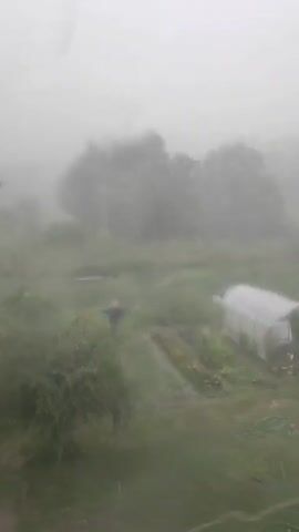 The video captures an outdoor scene during heavy rain and wind. The environment appears to be a rural or garden area with grass, trees, and some structures. In the foreground, a wooden structure, possibly made of pallets, is visible. Further back, a greenhouse or hoop house structure is present. A scarecrow is also visible in the middle ground. The weather conditions are severe, with strong winds causing the trees and vegetation to sway. The rain creates a hazy effect, obscuring some details and making the visibility low. The scene conveys a sense of a storm in progress.