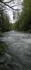 River scenes and bear statue documented in Chvizhepse, Russia