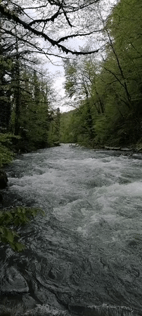 River scenes and bear statue documented in Chvizhepse, Russia