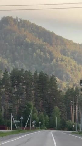 A video captures a serene road trip through a mountainous landscape. The road, paved and bordered by lush green trees, stretches into the distance. In the background, majestic mountains rise, their slopes covered in a thick blanket of trees, basking in the warm glow of the sun. The sky above is a soft, hazy blue, adding to the tranquil atmosphere. The video features no people, allowing the natural beauty of the environment to take center stage. The only sound is the gentle hum of the car as it glides along the road.