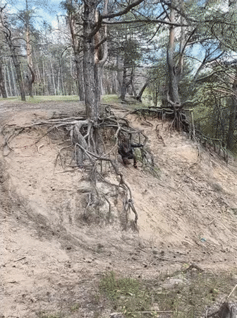 Woman photographs forest visit in Shyroke, Ukraine