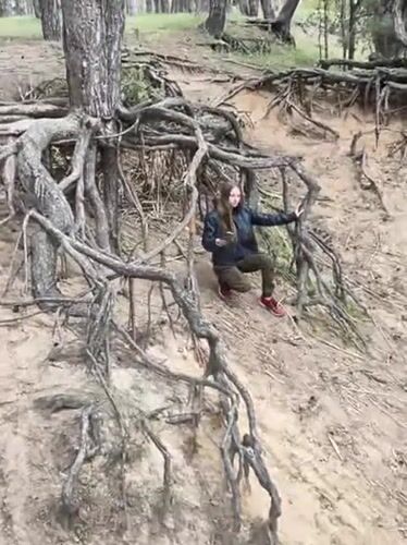 Woman photographs forest visit in Shyroke, Ukraine