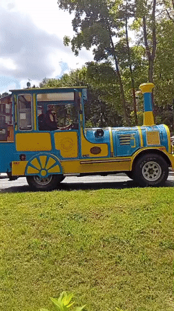 Karpacz summer stroll: tourist trains, wildflowers, and forest streams