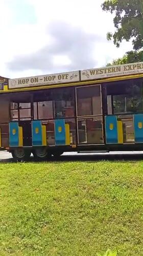 Karpacz summer stroll: tourist trains, wildflowers, and forest streams