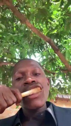 A man wearing a dark suit is seen from a low angle as he chews on a bone. The man is positioned below a leafy tree and a brick wall is partially visible in the background. The man chews the bone, then holds it up to his eye level and looks upwards.