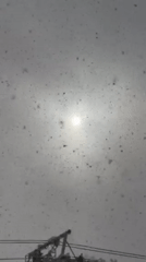 Heavy snowfall blankets Kutchan, Japan with sun visible through storm