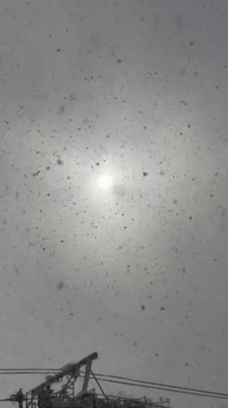 Heavy snowfall blankets Kutchan, Japan with sun visible through storm
