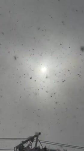 Heavy snowfall blankets Kutchan, Japan with sun visible through storm