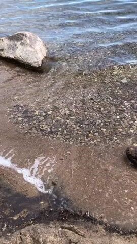 This is a close-up, eye-level shot of a rocky shoreline with gentle waves lapping at the sand. The water is clear, revealing a bed of small pebbles and stones beneath the surface. A large, light-colored boulder rests at the edge of the water, partially submerged. Foam from the waves creates a frothy line along the sandy shore, interspersed with dark, wet sand and some dried vegetation. The scene is bathed in natural light, suggesting it could be daytime, likely late afternoon or early morning given the soft lighting and calm water. The overall impression is one of tranquility and natural beauty. There is no visible text in the media file. This scene could be typical of a waterfront in Barrie, Canada.
