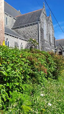 This media file captures a side view of a stone church, likely a place of worship, with a vibrant green landscape in the foreground and midground. The church appears to be of traditional architecture, featuring pointed arched windows and a steeply pitched roof. The stone construction suggests it is a well-established building.

The foreground is dominated by lush, overgrown vegetation, including various shrubs and wildflowers. The flowers, predominantly white and some yellow, add a touch of natural beauty and color to the scene, suggesting a springtime or summer setting. A path or walkway, paved with dark asphalt, runs alongside the greenery, leading towards the church and continuing into the distance.

In the midground, a dense shrub with red berries adds contrast to the dominant green foliage. The overall scene is bathed in bright sunlight, casting clear shadows and indicating a clear, sunny day. The sky is a vivid blue, with a few wispy clouds.

A power line is visible stretching across the upper left portion of the frame, a common urban or semi-urban element. Further in the distance, past the church, trees and the roof of another structure can be seen, hinting at a broader environment. The overall mood is peaceful and serene, with the natural elements creating a tranquil atmosphere around the imposing church building. There is no visible text within the media file.