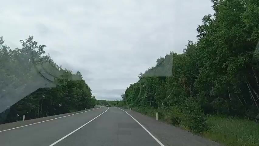 A car drives along a paved road through a dense forest under a cloudy sky. The road has two lanes with white lines marking the edges and the center. Trees line both sides of the road, with some appearing taller and denser than others. The sky is overcast and a dull gray. Reflections are visible on the car's windshield, showing curved lines and circular patterns. No people or other vehicles are clearly visible in the frame.