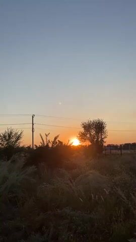 The video shows a sunrise over a field. The sun is a bright orange ball in the center of the frame, peeking through the trees. The sky is a gradient of blue and orange, with a few wispy clouds. There are power lines running across the top of the frame, and a telephone pole on the left. The field is covered in tall grass and brush, with a fence visible in the distance. The overall impression is one of peace and tranquility.