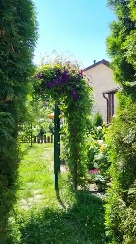 Summer morning in a Russian village garden and quiet streets