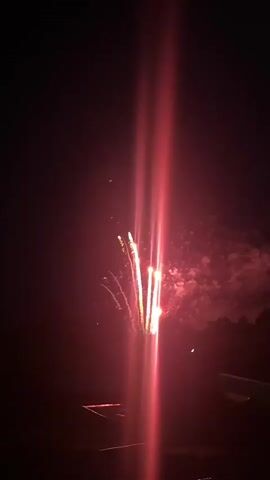 A static long shot shows fireworks exploding in the dark night sky. The fireworks are white, gold, and red. Some of the fireworks appear as streams of light, while others create a smoky effect. The sky is dark, and the bottom of the frame is dark, likely showing treetops. The camera captures lens flares from the bright light.