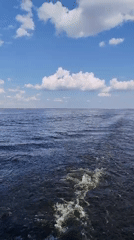Boat journey documented near Veregonets, Russia on sunny afternoon