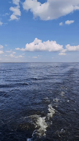 Boat journey documented near Veregonets, Russia on sunny afternoon