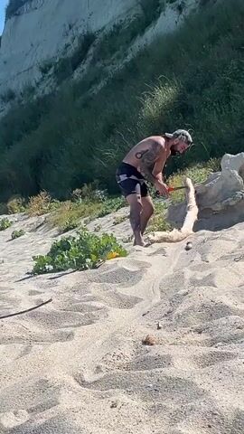 A man is shown on a sandy beach near a cliff. He is wearing dark shorts and has tattoos on his back. He is bent over and appears to be interacting with a piece of driftwood. The video then pans out to show the beach, the ocean, and a clear blue sky.
