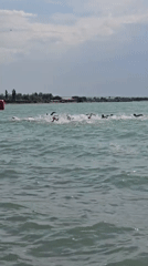 Open water swim race gets underway near Qonaev, Kazakhstan