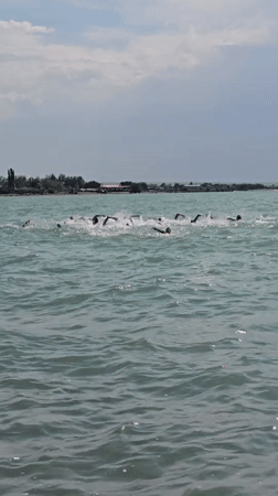 Open water swim race gets underway near Qonaev, Kazakhstan