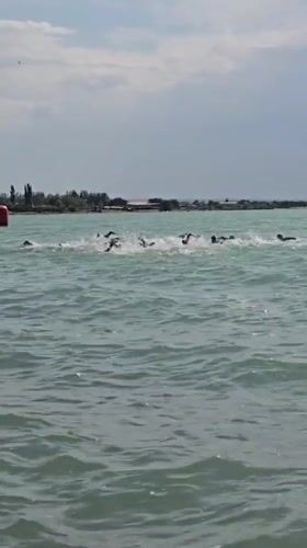 Open water swim race gets underway near Qonaev, Kazakhstan