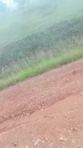 The video shows a dirt road with vegetation on the left. The sky is overcast with fog. A person is seen leaning out of a vehicle's window on the right side of the road, as the vehicle moves along the road. The vehicle is moving towards the right side of the screen and away from the viewer. The person in the vehicle appears to be waving their hand outside the window. The video is filmed from the perspective of someone inside the moving vehicle, looking out.