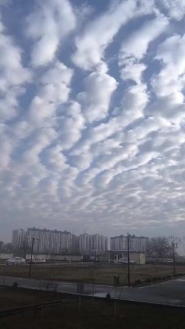 The video shows a view of a cloudy sky above a cityscape. The sky is blue with rows of white clouds that appear to be streaked or rippled. Below the sky, several tall, modern-style buildings are visible in the distance. The foreground features a grassy area, a road with parked cars, and streetlights. The overall lighting suggests it is daytime, though the image has a slightly muted or hazy quality.