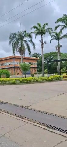 The video captures a slow-motion panning shot of a building with an orange facade, featuring numerous windows. The building is surrounded by a black metal fence and lush green landscaping, including manicured hedges and mature trees, some of which are palm trees. A utility pole with wires is visible in the foreground. The sky is overcast with gray clouds. A road or walkway with a grate is also visible in the bottom part of the frame.