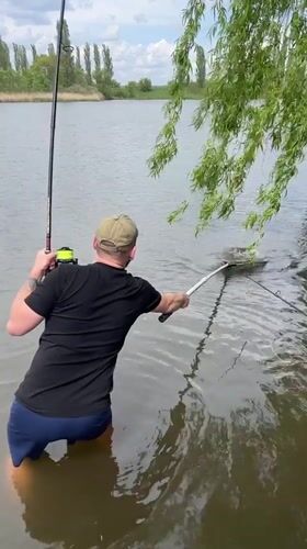 Angler catches large carp in Romanove Selo, Ukraine