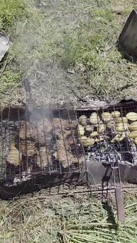 This video shows two grilling baskets filled with food over a charcoal grill. The basket on the left contains pieces of chicken, and the basket on the right contains sliced potatoes. Smoke is rising from the grill. The grill is set up outdoors on a grassy area. The camera angle is from above, looking down at the grill.