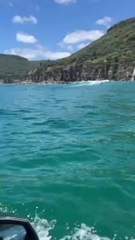 The video shows a boat moving through the ocean on a sunny day. The water is a clear, turquoise color with small waves. In the background, there is a coastline with rocky cliffs covered in lush, green vegetation. The sky is blue with scattered white clouds.