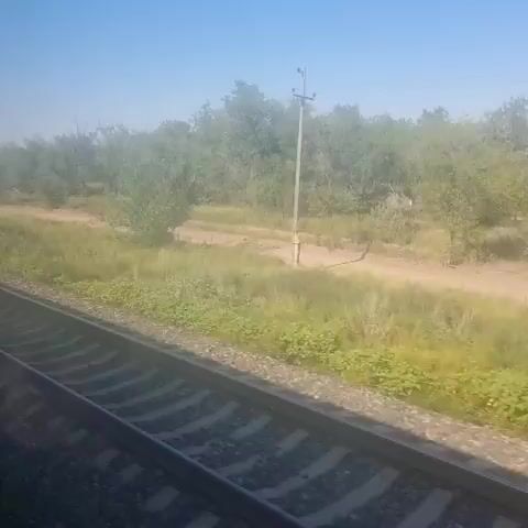 The video shows a view from a moving train. In the foreground, train tracks stretch into the distance. To the right of the tracks, there is a dirt road running parallel to the tracks, bordered by grassy vegetation. Beyond the road and grass, there is a dense line of trees and foliage under a clear blue sky. A utility pole is visible near the tracks, and another can be seen further down the road. The scene appears to be rural and dry.