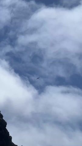 The video shows a bird flying in the sky. Initially, the sky is a mix of blue and white clouds. As the video progresses, the sky transitions to a clearer blue with fewer clouds. Then, it shifts back to a cloudy sky with predominantly white clouds. The bird remains in the center of the frame throughout.