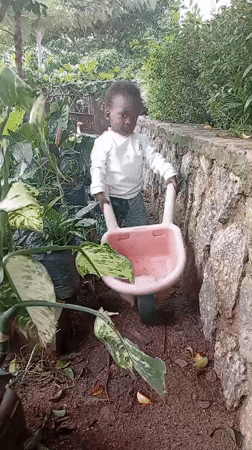 A Nigerian garden property, its animals, plants, and daily life