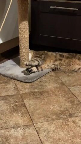A cat is playing with a gray ball hanging from a scratching post. The cat is lying on its back on a gray mat on a tiled floor. The cat is a tabby cat with stripes and spots. The cat is using its paws to bat at the ball. The scratching post is made of sisal rope and has a white platform at the top. There is a dark brown cabinet in the background. The lighting is dim.
