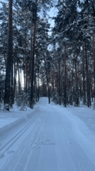 Cross-country skier documents winter recreation session in Kazan forest