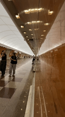 Moscow Metro station documented during routine passenger activity