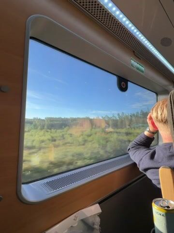 The video shows the view from a train window as it travels through a forest. A person is visible in the foreground, leaning forward and looking out the window. The person is wearing a dark blue shirt and has blonde hair. A can of Loka water is on a small table next to them. The train window is large and rectangular, with wooden trim. The sky is blue with some clouds, and the sun is shining. The trees and vegetation outside the window are green and lush. The video captures the motion of the train, with the scenery blurring as it passes by.