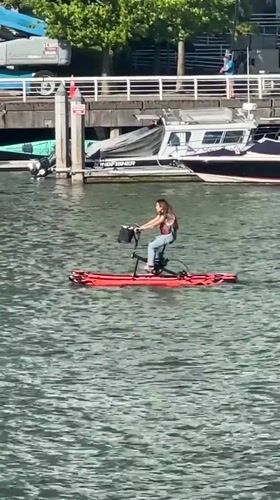 Vancouver waterfront buzzes with recreational boating activities on sunny day